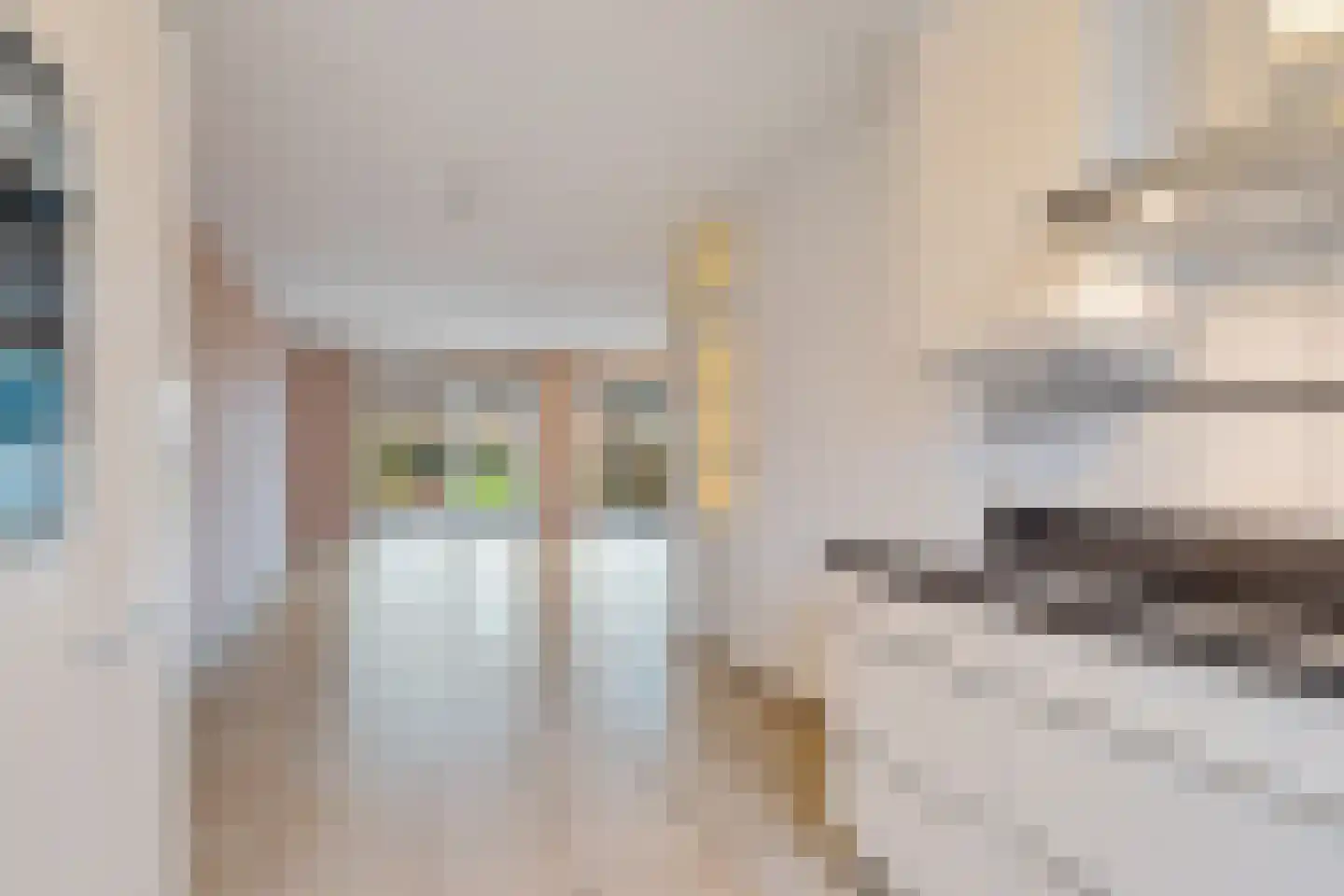 Brechtzijde 13 Zoetermeer thumbnail 17