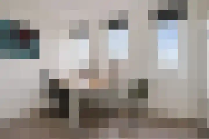 Breckelenkamp 15 Leusden thumbnail 12