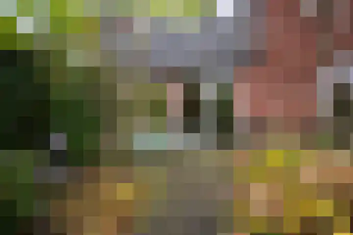 Breckelenkamp 15 Leusden thumbnail 26