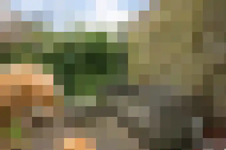 Breckelenkamp 15 Leusden thumbnail 28