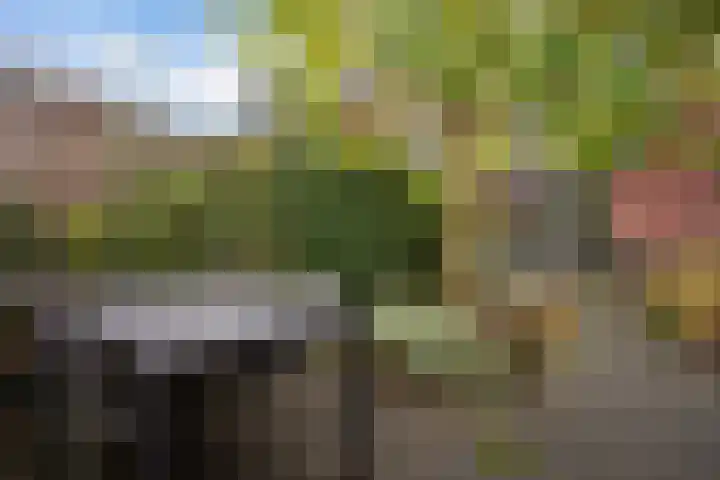 Breckelenkamp 15 Leusden thumbnail 29
