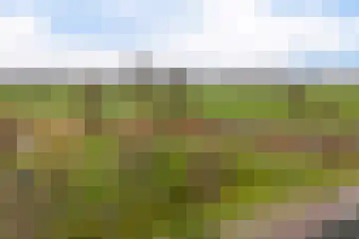 Breckelenkamp 15 Leusden thumbnail 34