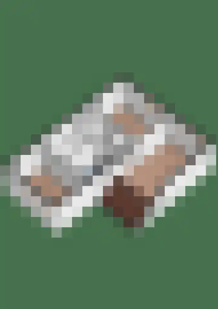Breckelenkamp 15 Leusden thumbnail 41