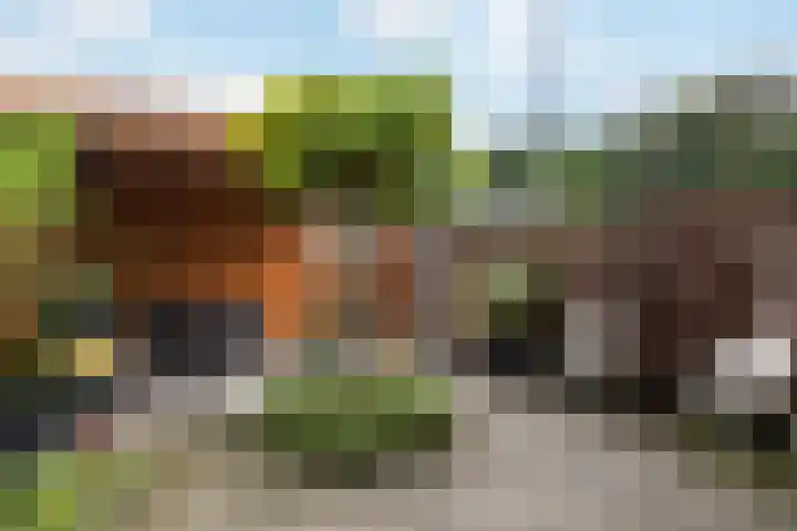 Breckelenkamp 6 Leusden thumbnail 10