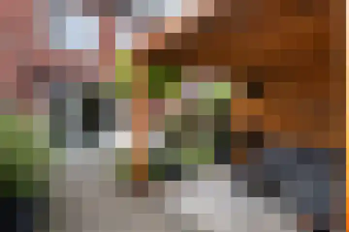 Breckelenkamp 6 Leusden thumbnail 11