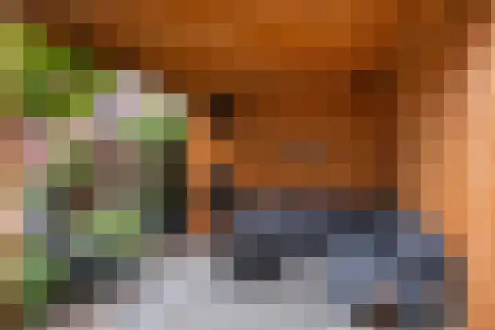 Breckelenkamp 6 Leusden thumbnail 12