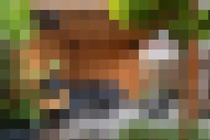 Breckelenkamp 6 Leusden thumbnail 13