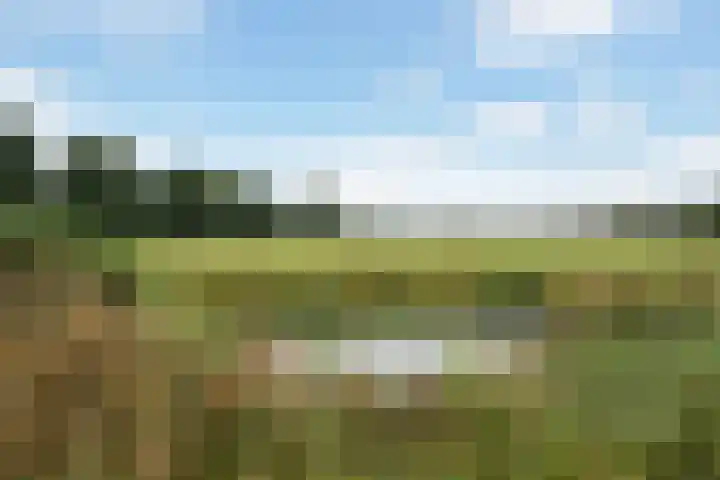 Breckelenkamp 6 Leusden thumbnail 37