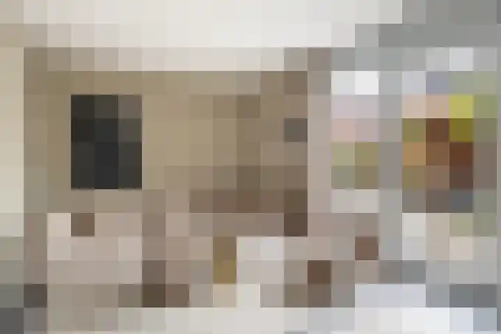 Breckelenkamp 6 Leusden thumbnail 7