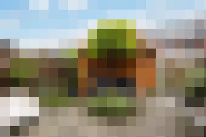 Breckelenkamp 6 Leusden thumbnail 9