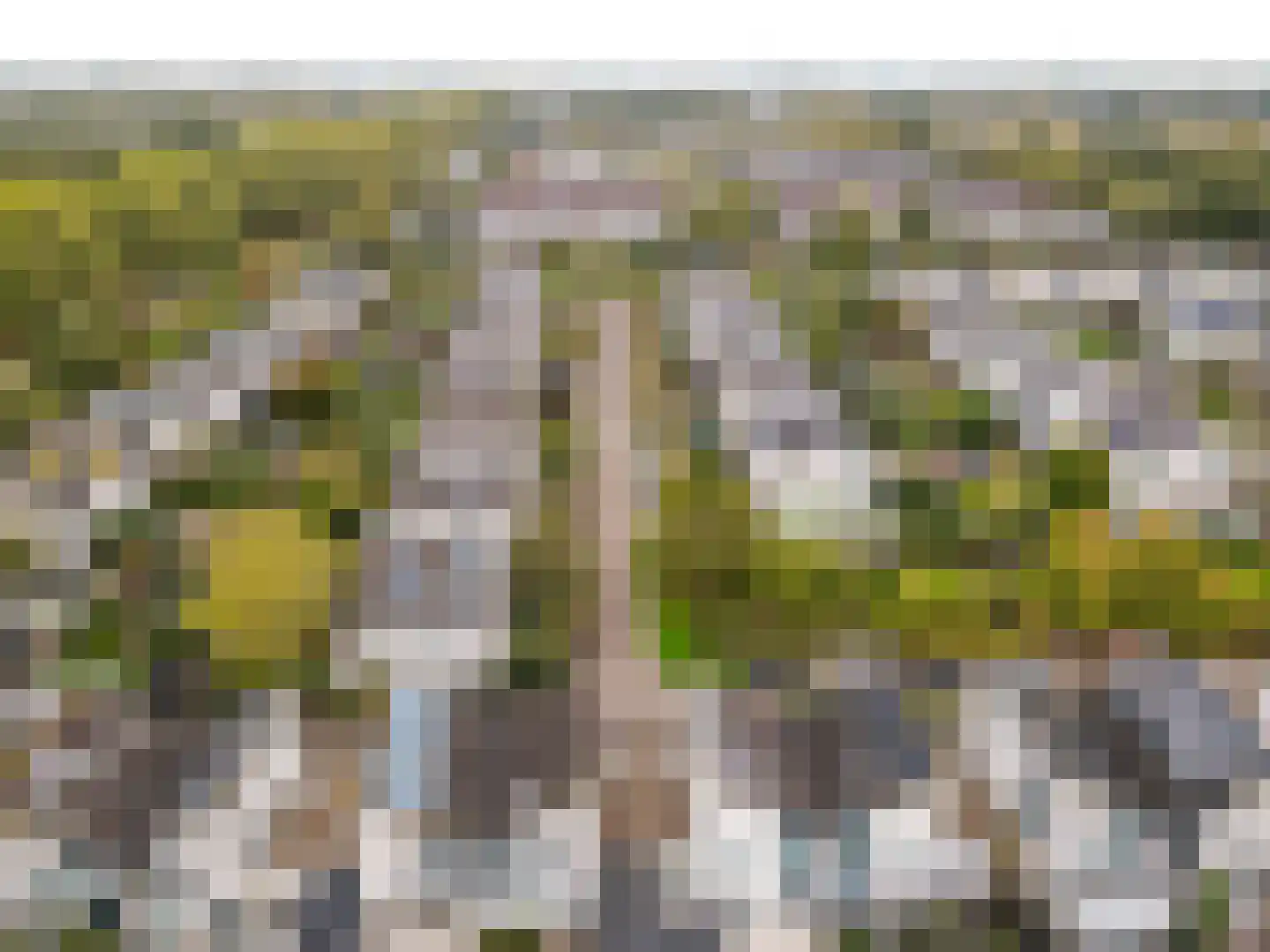 Breckelenkampstraat 27 Almere thumbnail 39