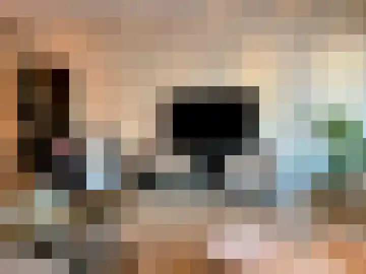 Brecklenkamp 16 Almelo thumbnail 8