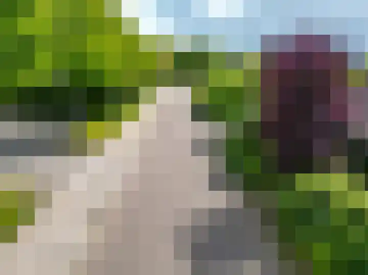 Brecklenkamp 41 Hengelo thumbnail 101