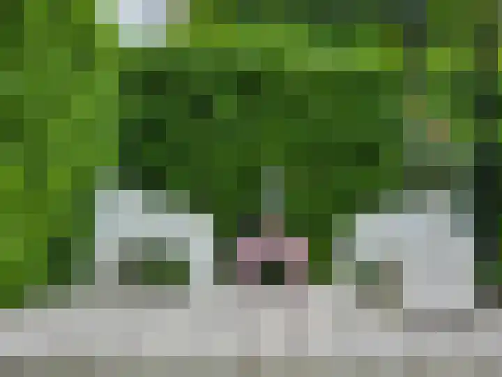 Brecklenkamp 41 Hengelo thumbnail 96