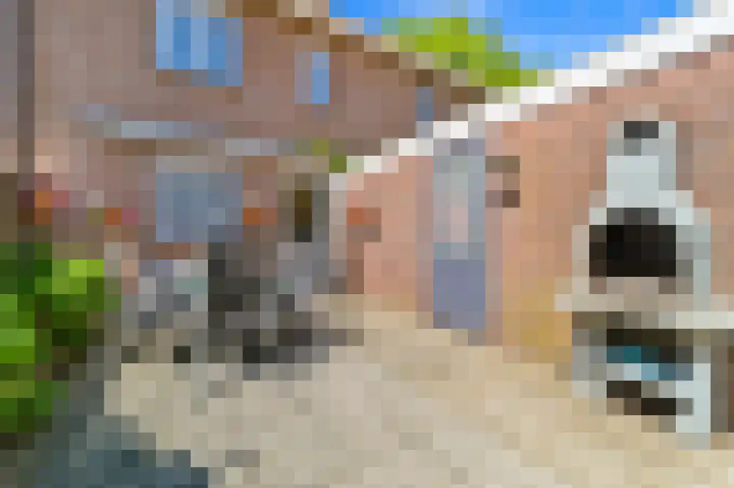 Brecklenkampstraat 24 Rotterdam thumbnail 12