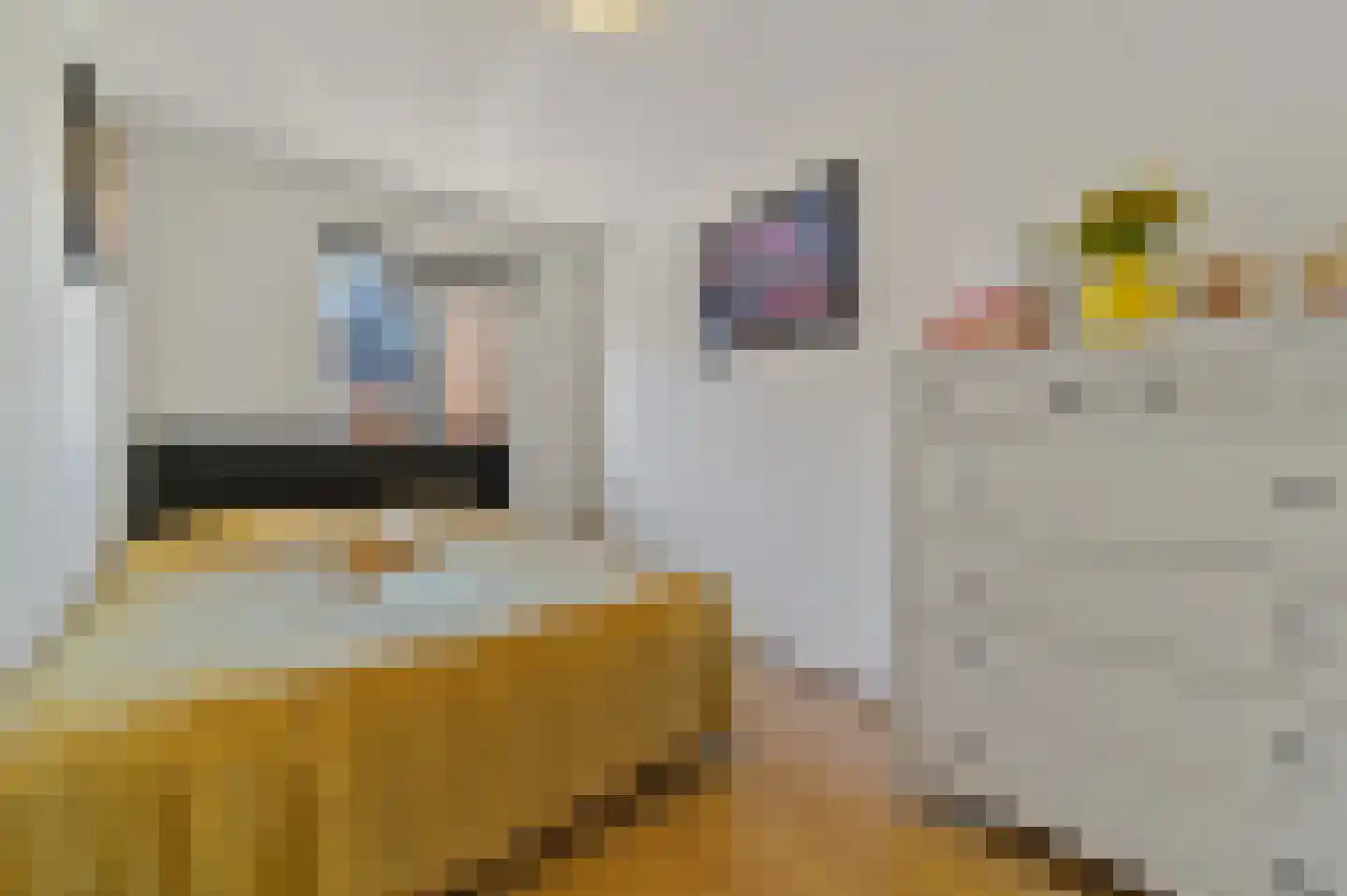 Brecklenkampstraat 24 Rotterdam thumbnail 18