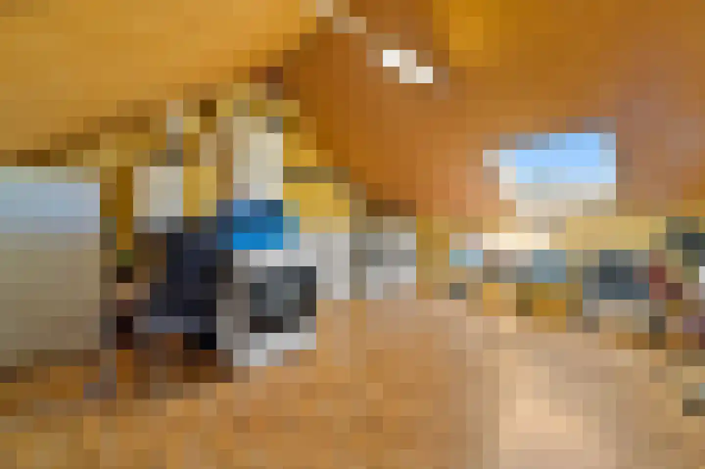 Brecklenkampstraat 24 Rotterdam thumbnail 25