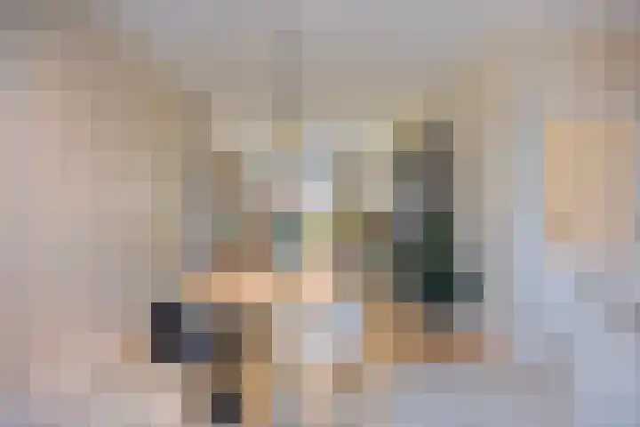 Bredalaan 106 Eindhoven thumbnail 11