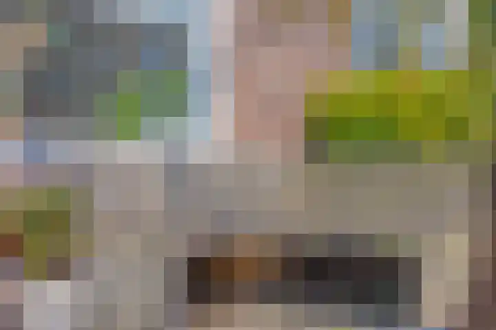 Bredalaan 106 Eindhoven thumbnail 13