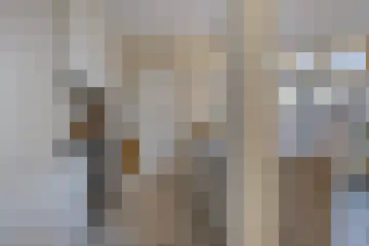 Bredalaan 106 Eindhoven thumbnail 17