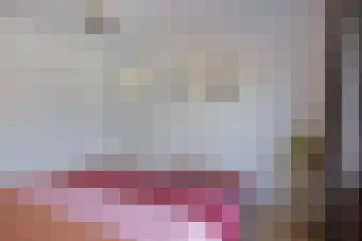 Bredalaan 106 Eindhoven thumbnail 25