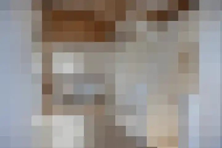 Bredalaan 106 Eindhoven thumbnail 33