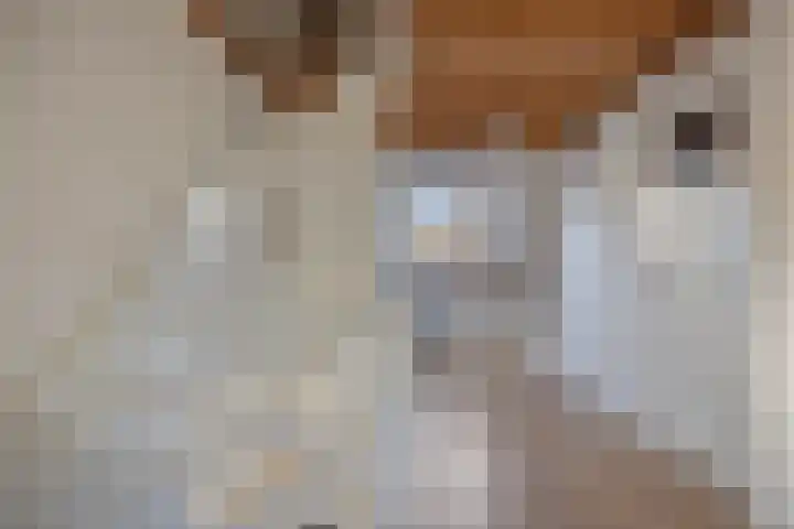 Bredalaan 106 Eindhoven thumbnail 34