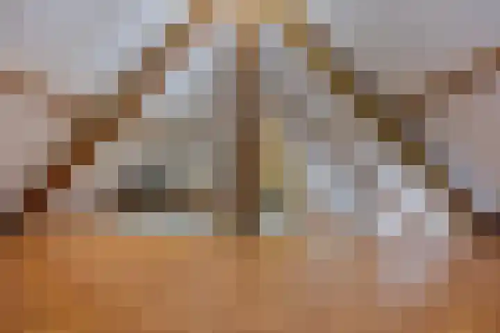 Bredalaan 106 Eindhoven thumbnail 40