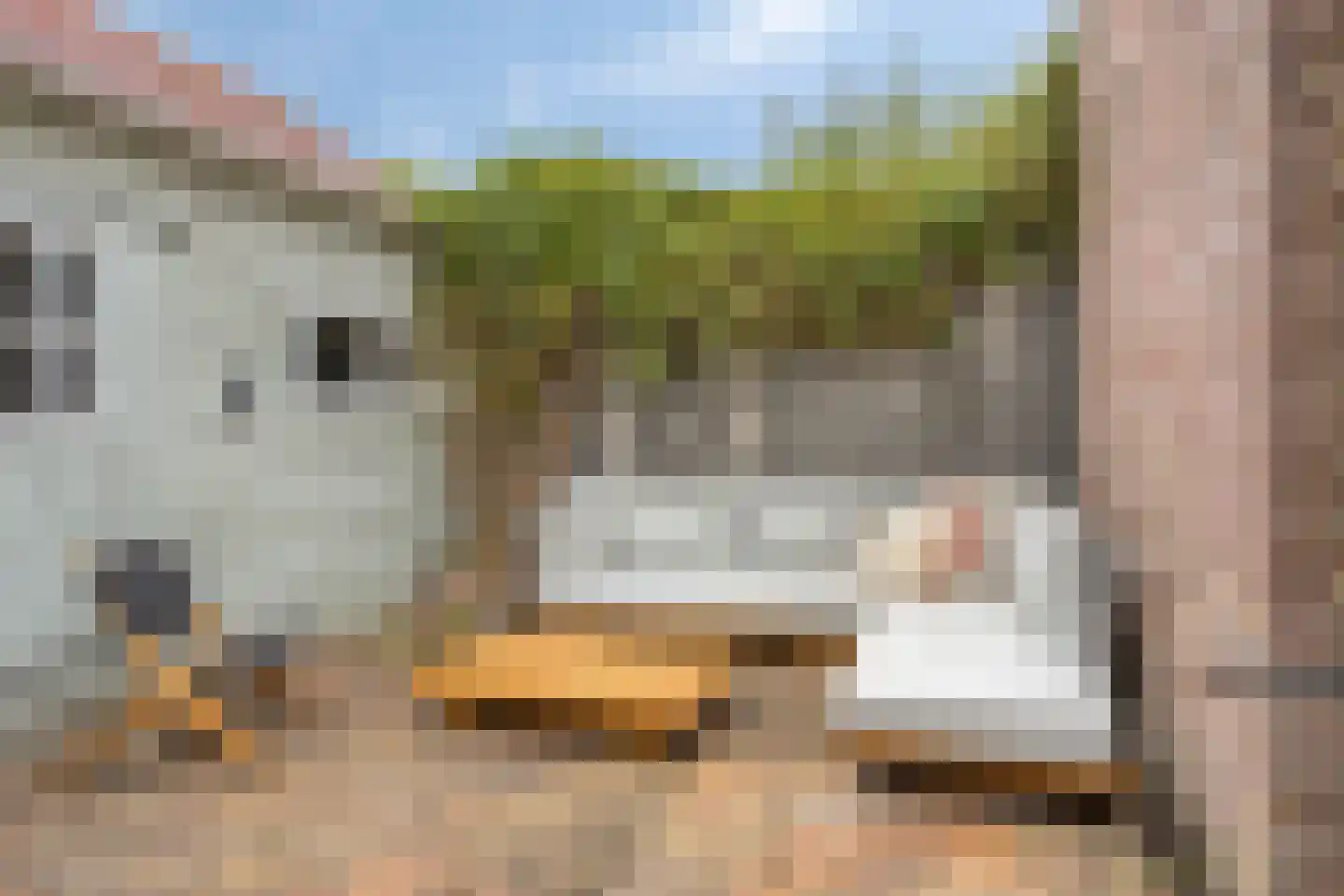 Bredalaan 108 Eindhoven thumbnail 22