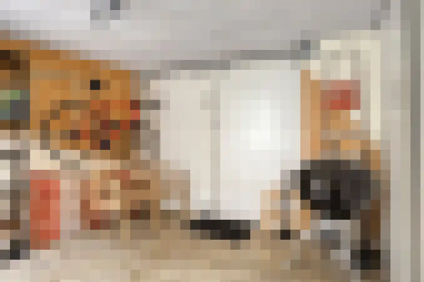 Bredalaan 108 Eindhoven thumbnail 25