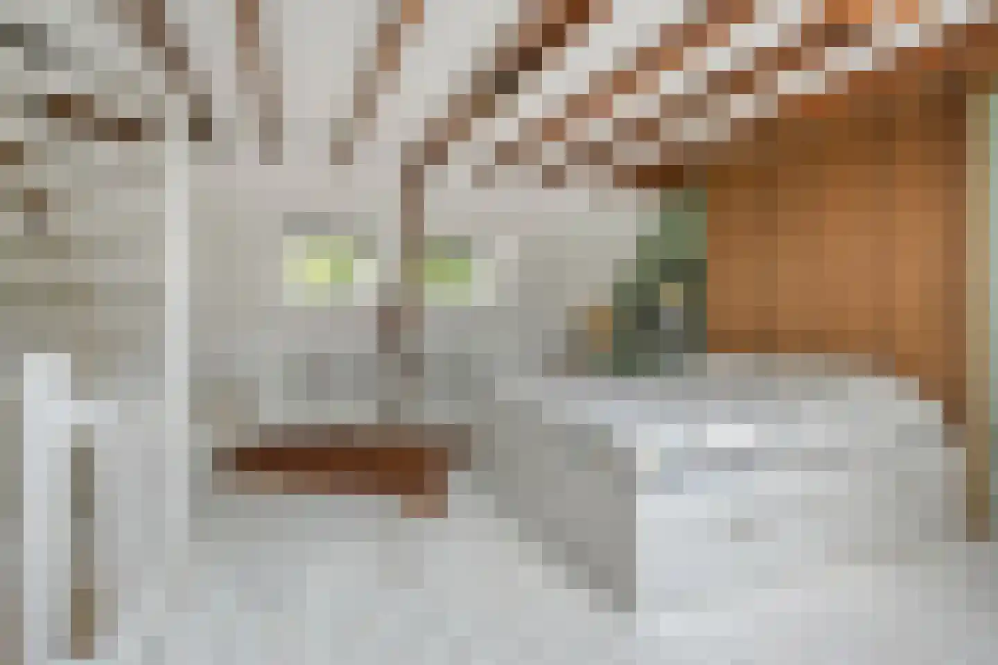 Bredalaan 108 Eindhoven thumbnail 36
