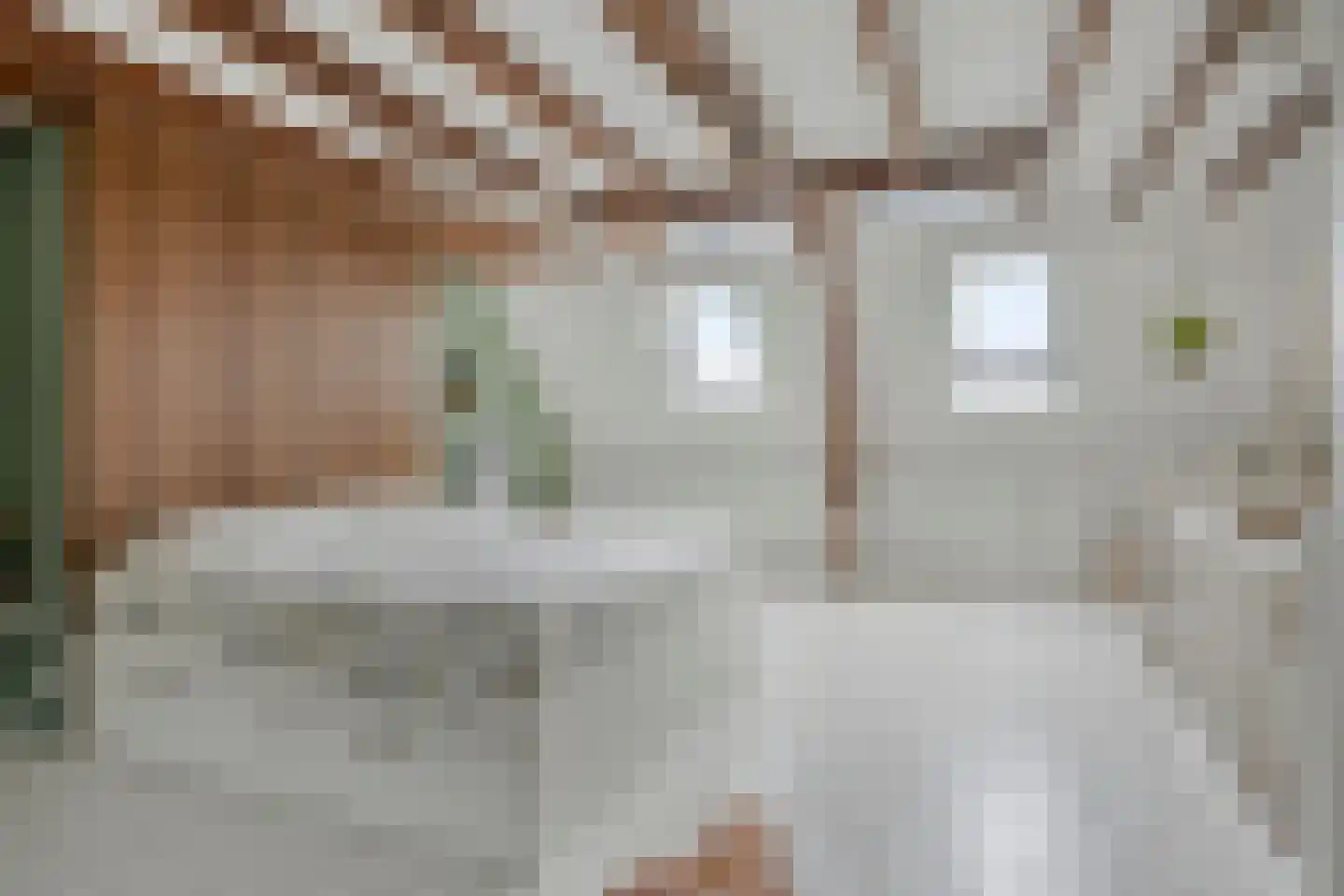 Bredalaan 108 Eindhoven thumbnail 37