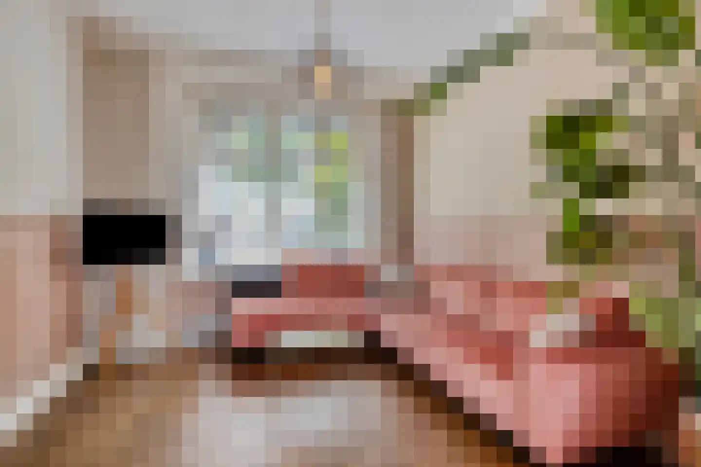 Bredalaan 108 Eindhoven thumbnail 6
