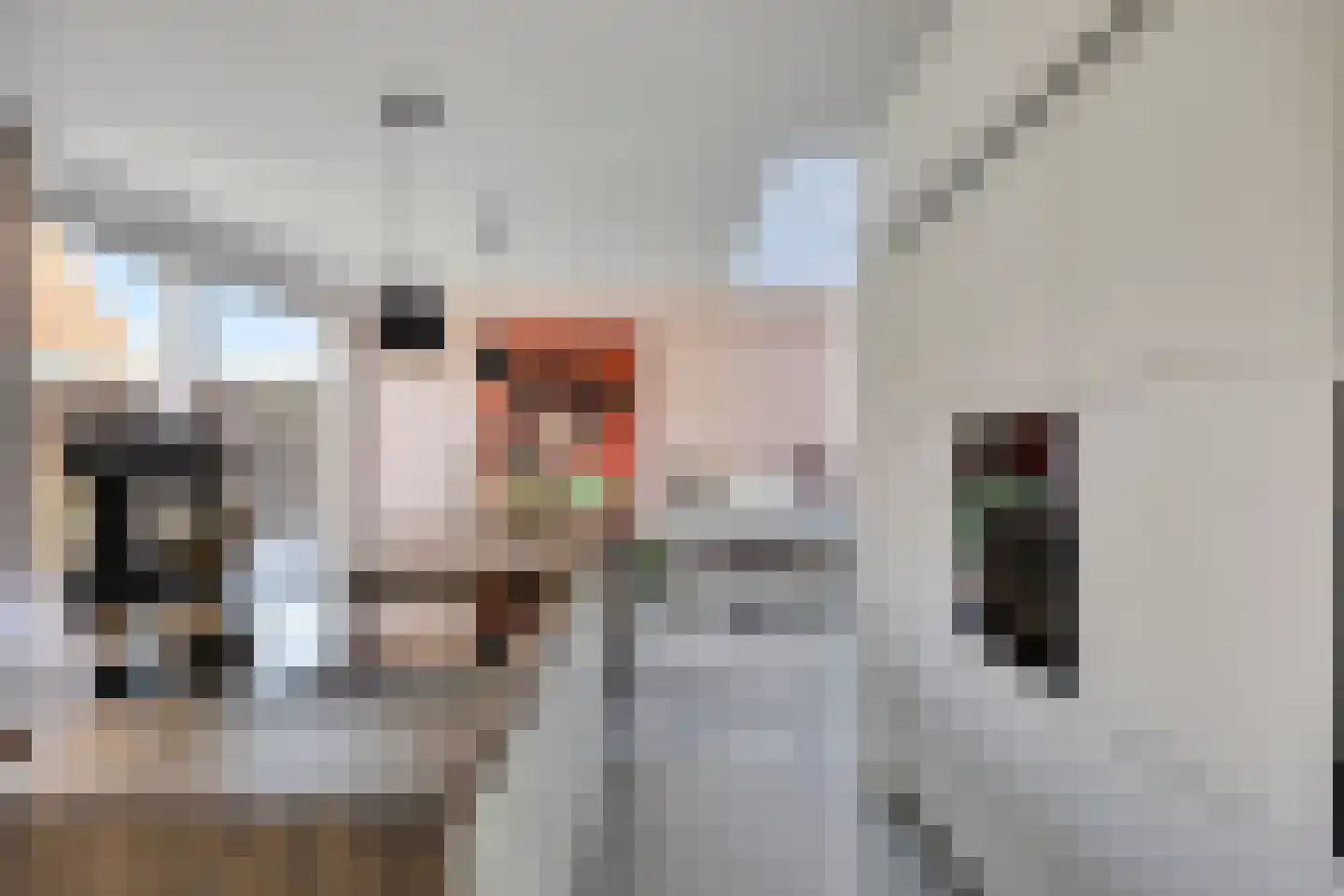 Bredalaan 138 A Eindhoven thumbnail 25