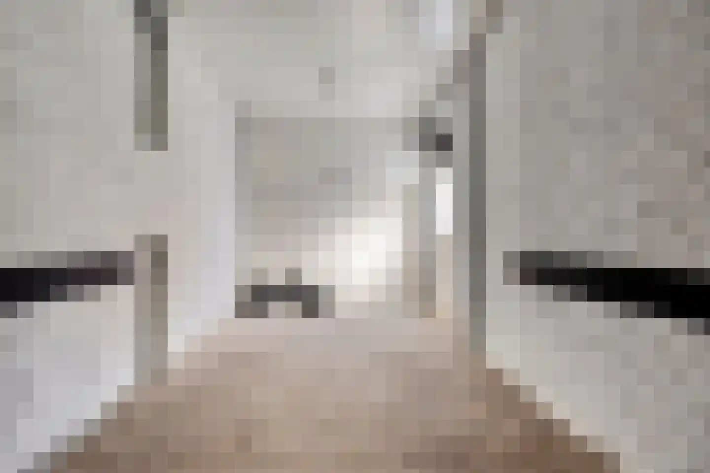 Bredalaan 138 A Eindhoven thumbnail 56