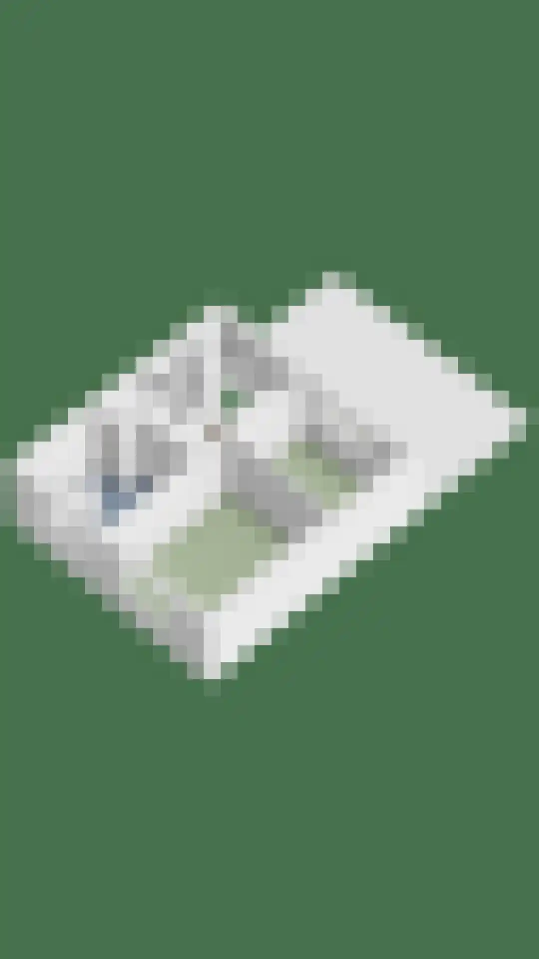 Bredalaan 138 A Eindhoven thumbnail 65