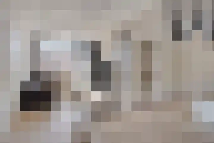Bredalaan 157 A Eindhoven thumbnail 11