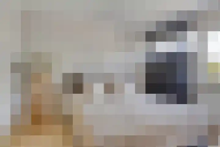 Bredalaan 157 A Eindhoven thumbnail 16