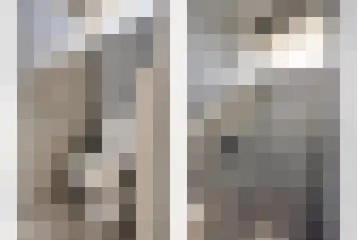 Bredalaan 157 A Eindhoven thumbnail 23