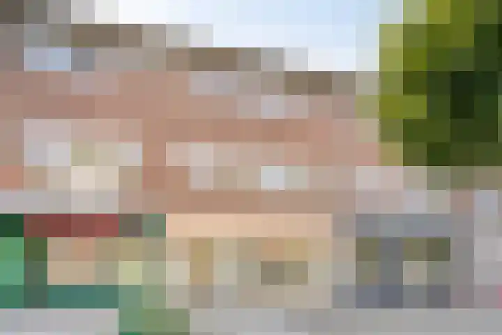 Bredalaan 157 A Eindhoven thumbnail 32