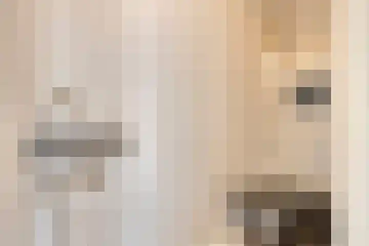 Bredalaan 157 A Eindhoven thumbnail 6
