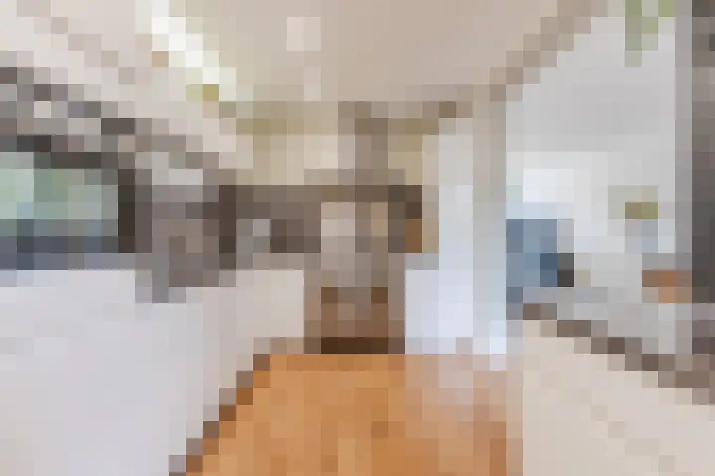 Bredalaan 36 Eindhoven thumbnail 14
