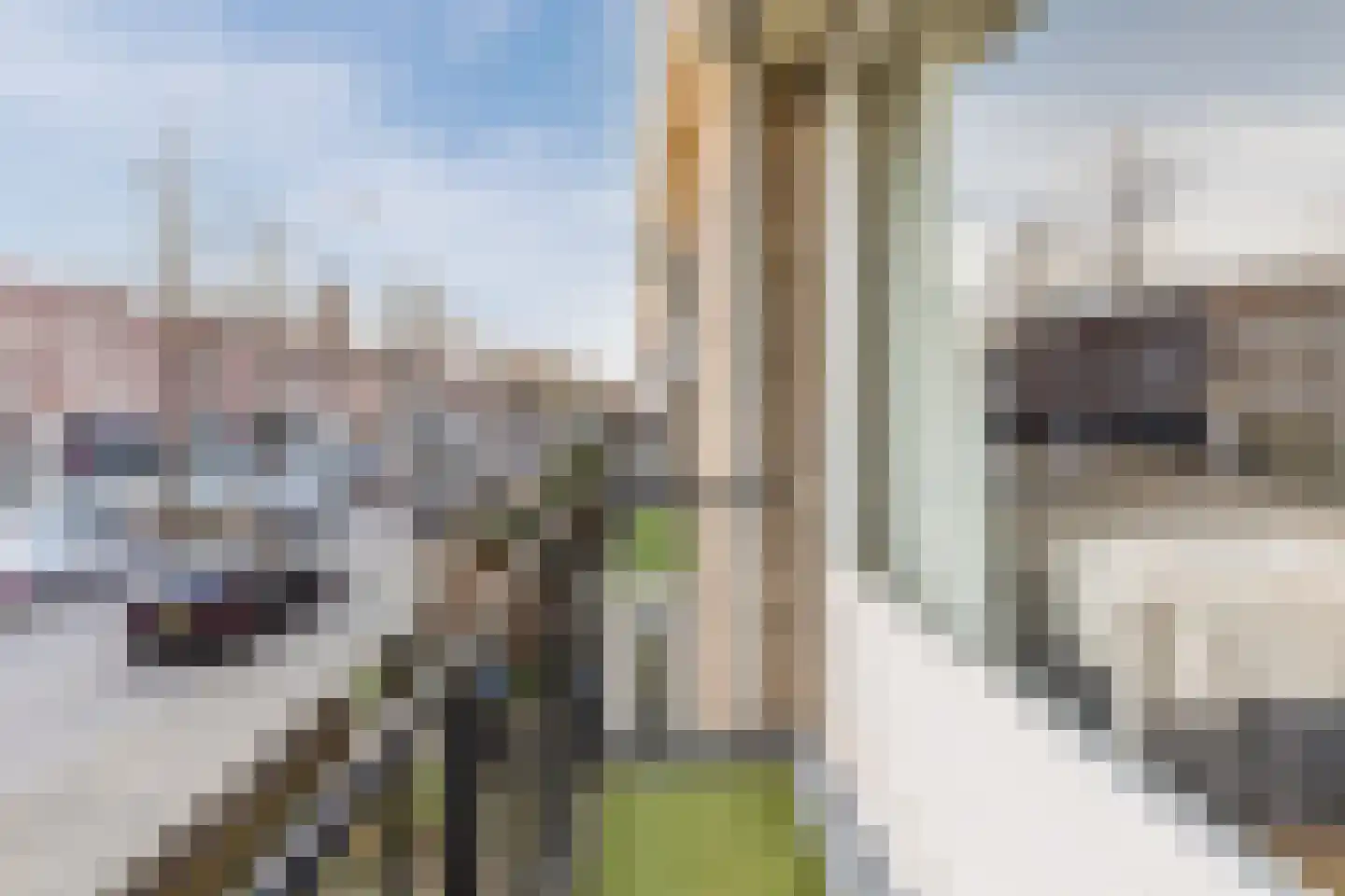 Bredalaan 36 Eindhoven thumbnail 34