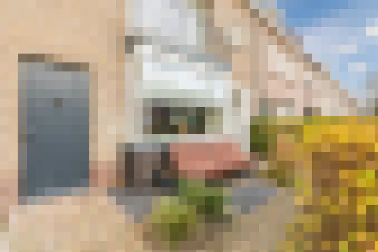 Bredalaan 36 Eindhoven thumbnail 7