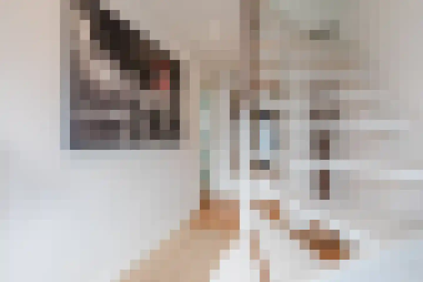 Bredalaan 36 Eindhoven thumbnail 8