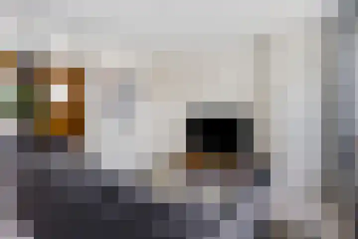 Bredalaan 55 Eindhoven thumbnail 10