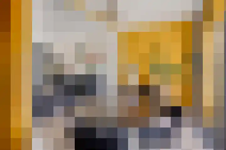 Bredalaan 55 Eindhoven thumbnail 11