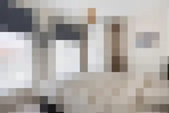 Bredalaan 55 Eindhoven thumbnail 18