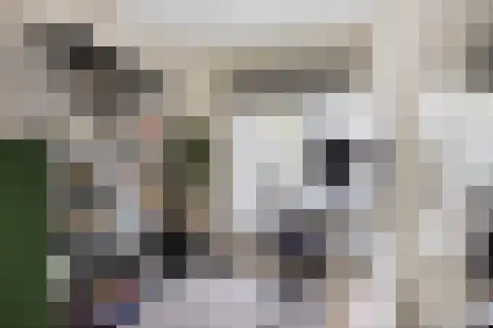 Bredalaan 55 Eindhoven thumbnail 22