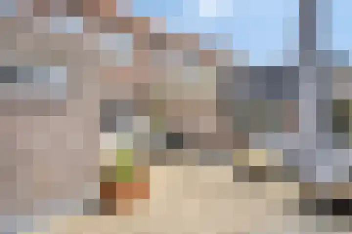 Bredalaan 55 Eindhoven thumbnail 25
